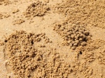 The dryer areas of the beach were covered with this fascinating texture created by sand crabs.